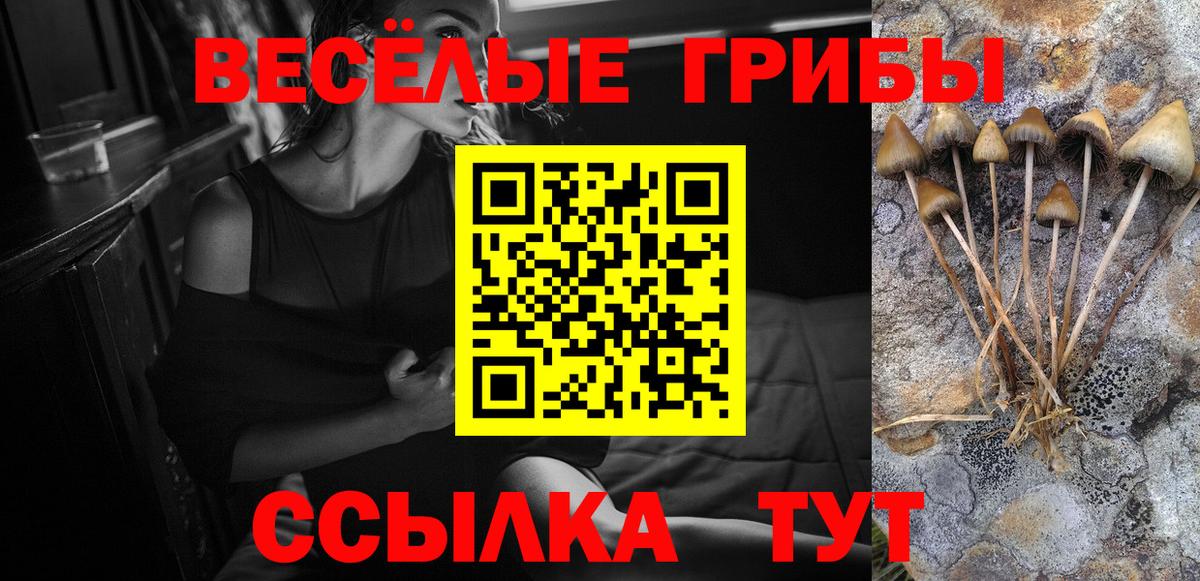 Псилоцибиновые грибы GOLDEN TEACHER Ртищево